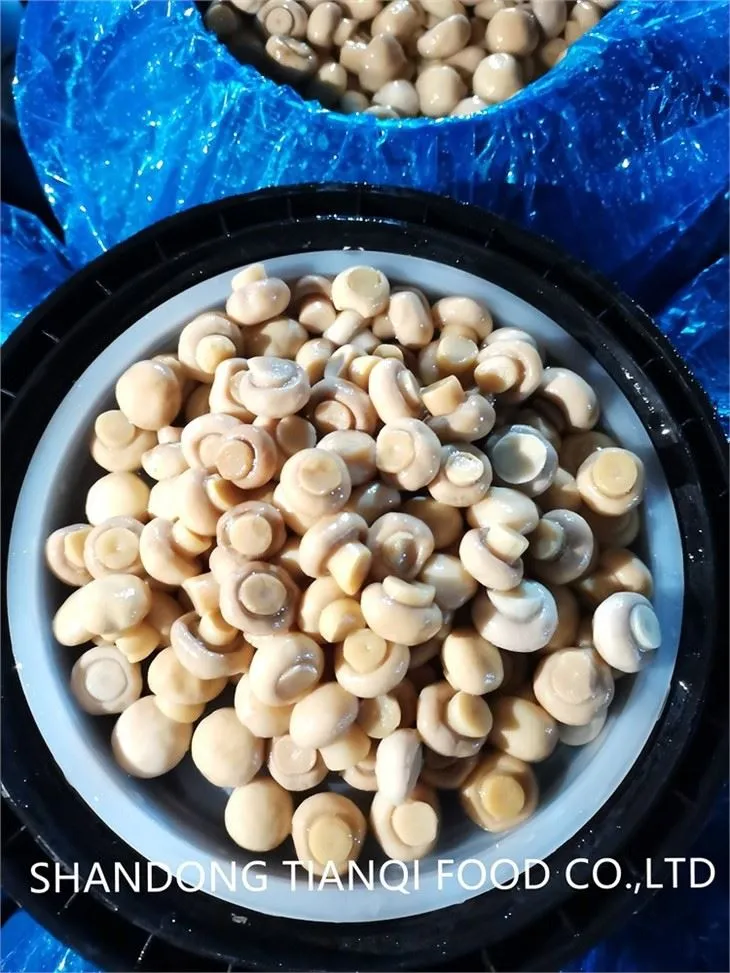 Pickled white mushroom in brine in drums