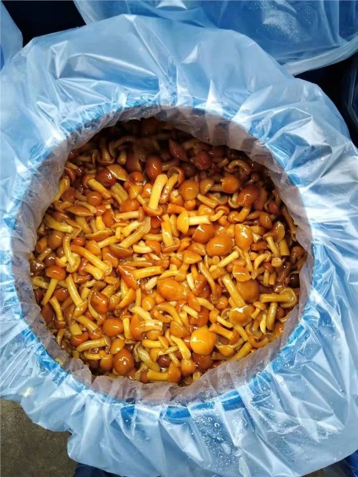 Preserved salted nameko in drums