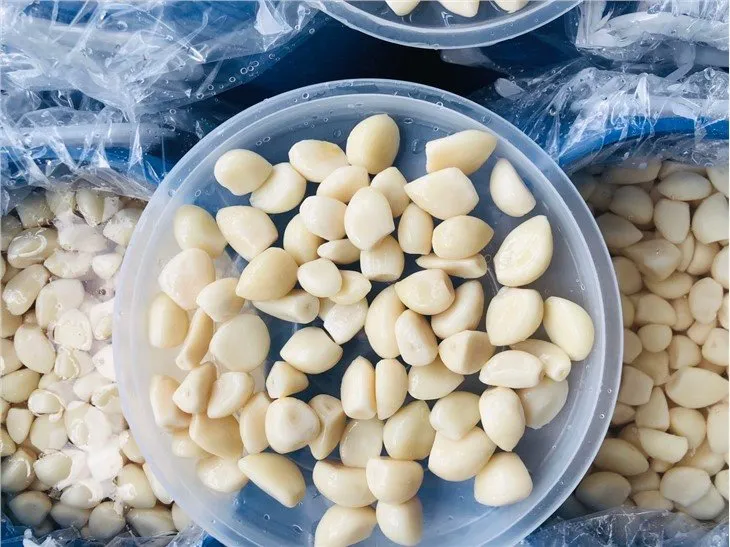 Garlic in salted water in drums