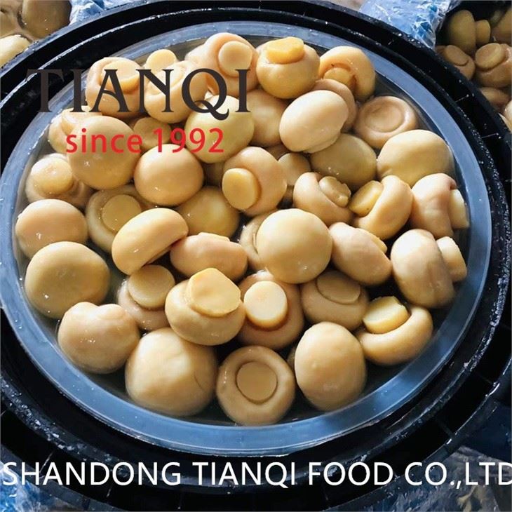 Μανιτάρι Champignon σε φέτες σε τύμπανα