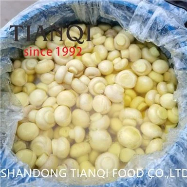 Νέος Crop Brined Λευκός Μανιτάρι σε Τύμπανα